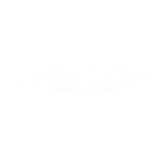 ASE TIM Logo white PNG